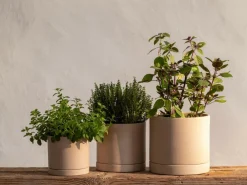 Blumentopf aus Steingut, natur, 11,5 x 10,5 cm