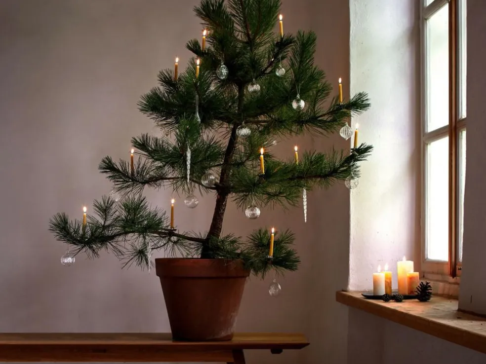 Christbaumkerzen aus Bienenwachs, 12 x 1,3 cm, 26 Stk. Natur