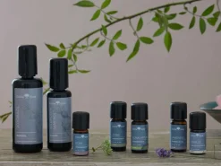 JOJOBAÖL Basisöl 100 ml