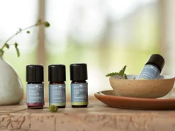 JOJOBAÖL Basisöl 100 ml