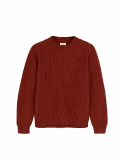 Pullover aus Alpakawolle, 76 mahagoni, S