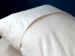 Schlafkissen mit feiner Schafschurwolle, 40 x 60 cm, GOTS, NATURTEXTIL BEST